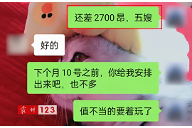 凌海如何避免债务纠纷？专业追讨公司教您应对之策